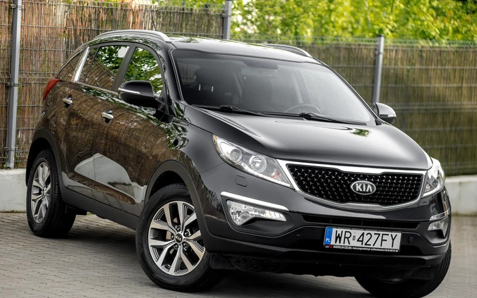 Kia Sportage cena 55900 przebieg: 191000, rok produkcji 2014 z Radom małe 667